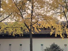 -西园戒幢律寺