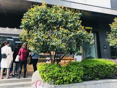 -鲍师傅糕点(江苏路店)