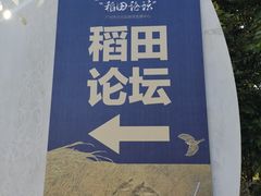 -艾米稻香小镇