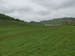 -关山草原