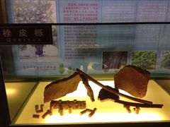-青岛葡萄酒博物馆