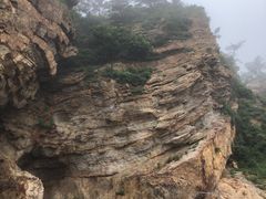 -棒棰岛宾馆景区