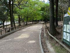 -奈良公园