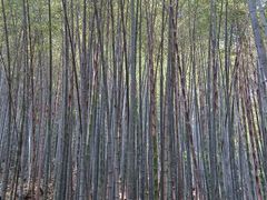 -敬亭山风景名胜区