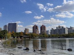 -大宁公园