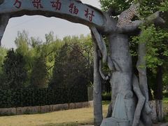 -万泉公园