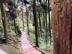 -青城山