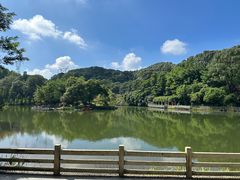 -广州市帽峰山景区