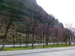 -神龙峡风景区