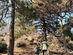 -信阳灵山风景区