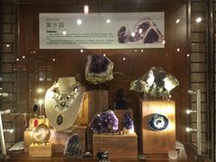 -Behring World of Animals(上海自然博物馆店)