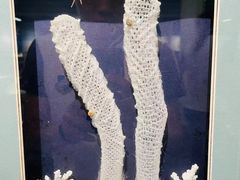 -天津古林古海岸遗迹博物馆