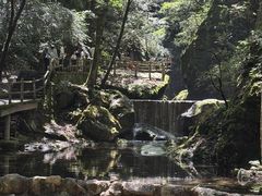 -牛背梁国家森林公园