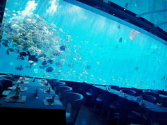 -瑞德姆美人鱼海底演艺主题餐厅(亚龙湾店)