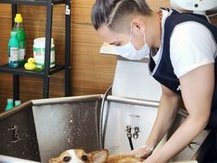 -PETKIT小佩宠物(古北店)