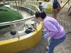 -前小桔亲子创意农场·草莓采摘·露营烧烤