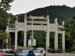 -大自然素食(望桐路店)