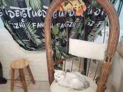 -平行世界·猫咖(首经贸店)