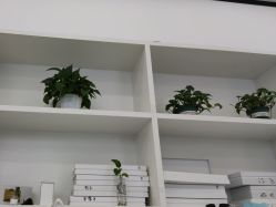 点击看大图 -蕾特恩专业祛痘·皮肤管理