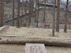 -阳台山自然风景区