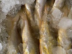 -芦潮港集贸市场