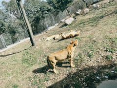 -西安秦岭野生动物园