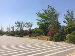 -宝龙广场(蓬莱区)