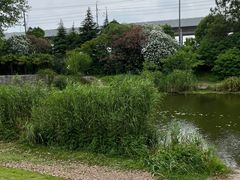 -美兰湖景区