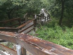 -龙门崮风景区