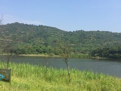 -大湾区中央湿地公园
