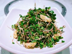 鲜核桃拌萝卜缨-申粤轩酒楼·三十年粤菜经典(丁香花园店)