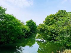 -良渚古城遗址公园