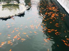 -归元·云集斋素菜馆