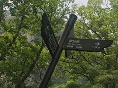 -陕西省红河谷森林公园