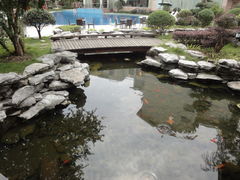 房间边鱼池-张家界京武铂尔曼酒店