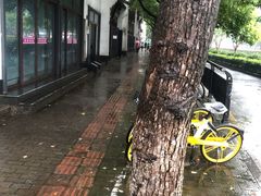 -江南春(解放路店)