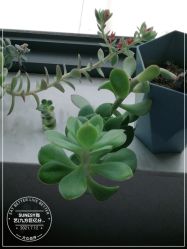 点击看大图 -尚艺造型.剪烫染.接发