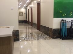 -美联众合动物医院·24h转诊中心