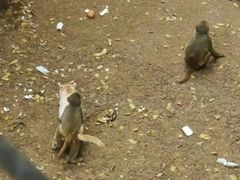 -昆明动物园