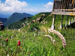 -白草畔自然风景区