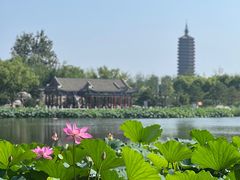 -西海子公园