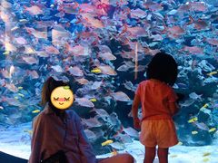 -成都浩海立方海洋公园