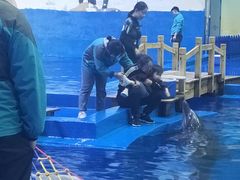 -华夏文旅海洋公园