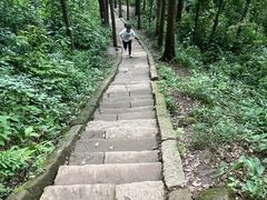 -青城道汤池