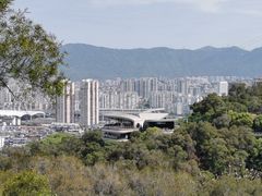 -金鸡山公园