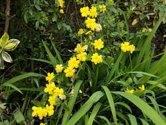 -杭州城北体育公园