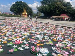 -西双版纳勐泐文化旅游区