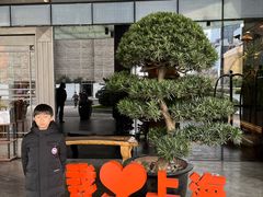 -上海外滩英迪格酒店