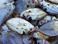 -巽寮印象美食部落餐厅·海鲜·地方特色菜(惠州体验店)