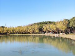 -昆山城市生态森林公园